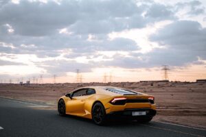 the domain name in the video is www.flamingflamingos.eu, what is the top level domain in this name?