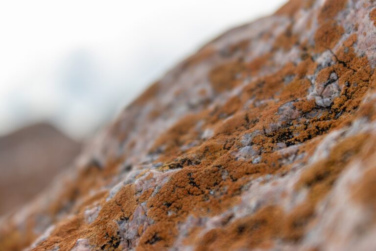 thick hair low maintenance short bob hairstyles