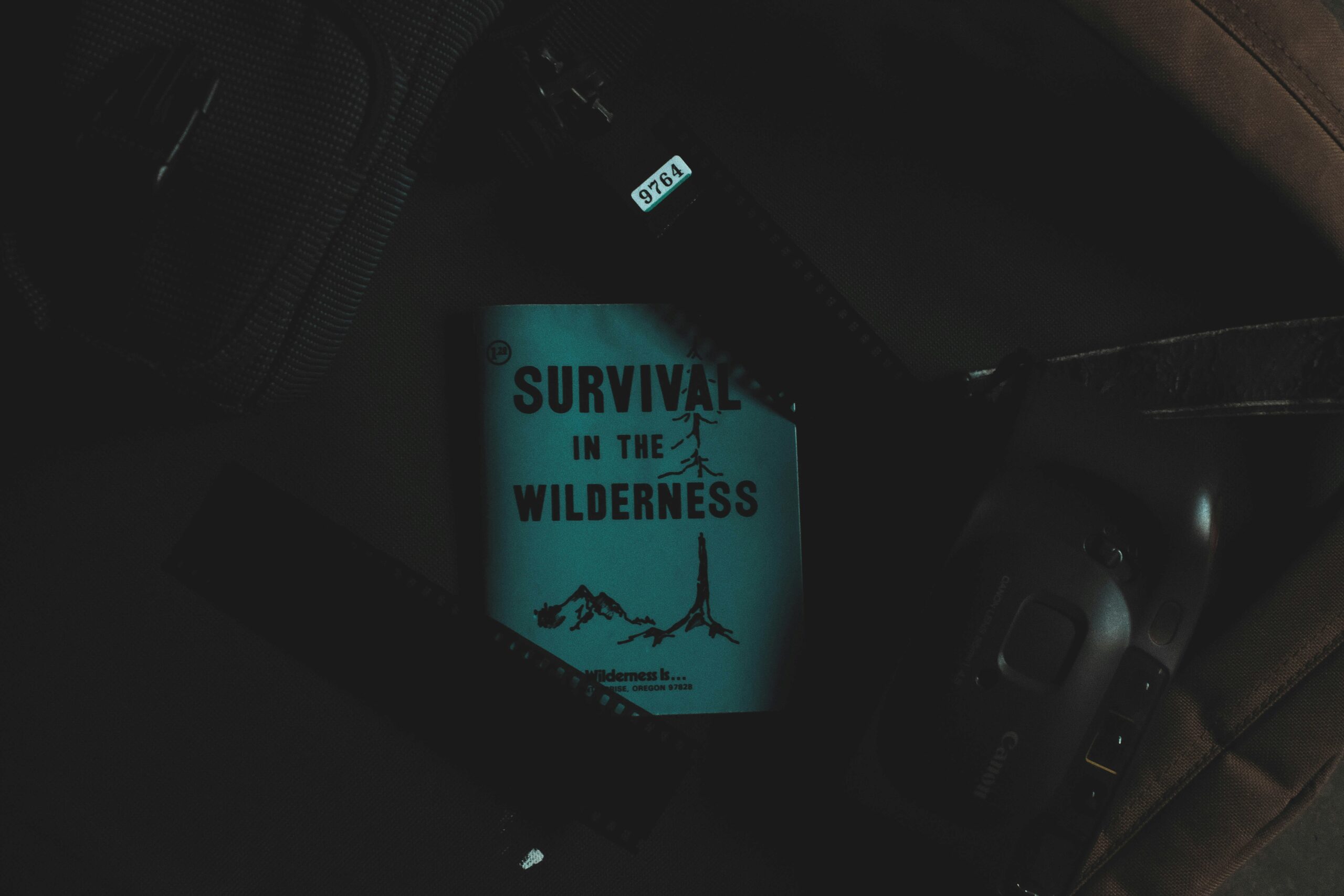 Top 10 Pro Tips for Surviving Battle Royale Matches