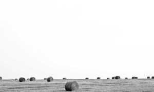 why gaming should be a sport befitgametek