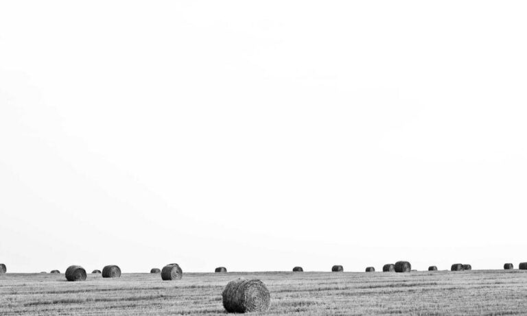 why gaming should be a sport befitgametek