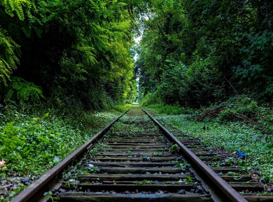 Why People Follow Her: The Value She Provides