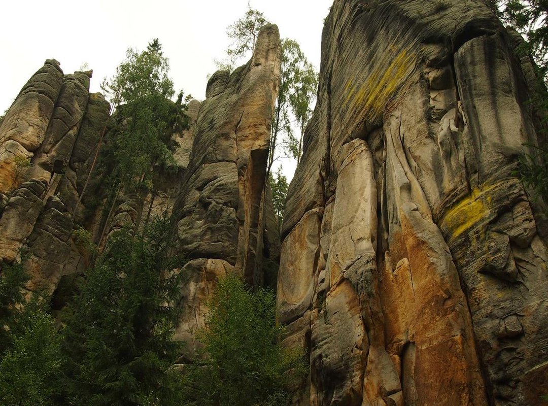 Your First Steps: How to Get Started with Fikgap in Minutes