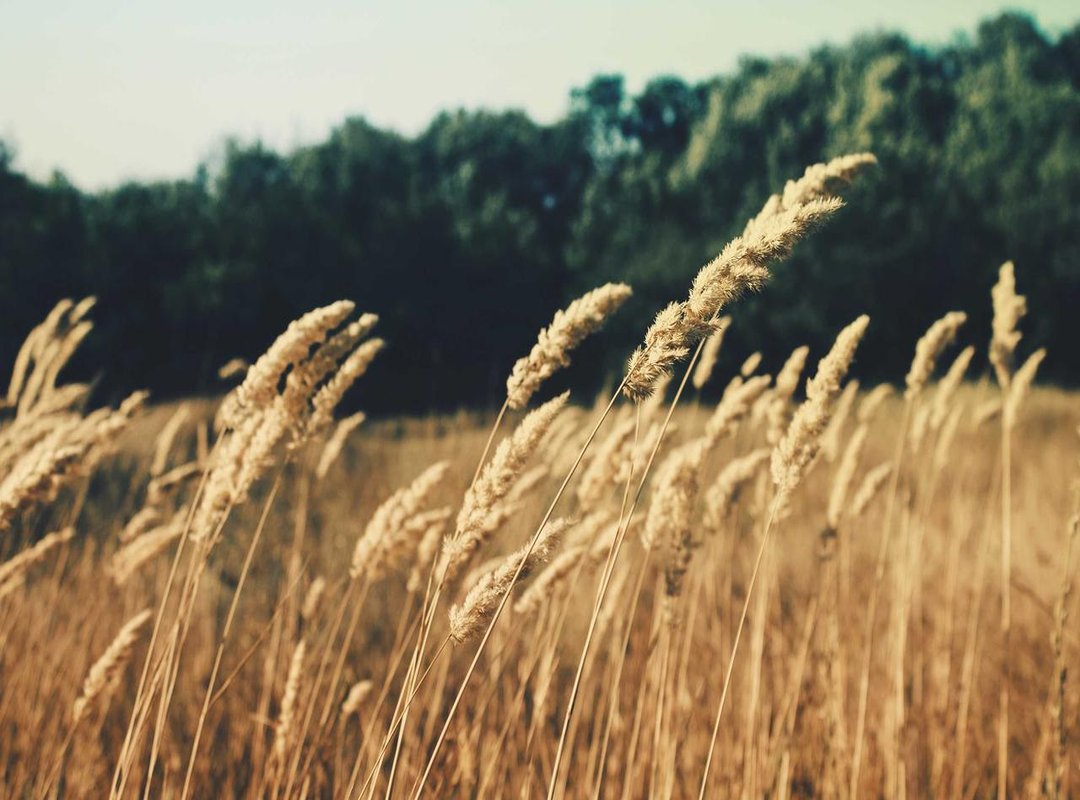 The Summer 2023 Engagement: All the Details