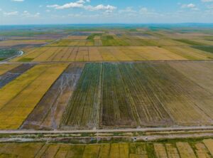 temu farmland hack