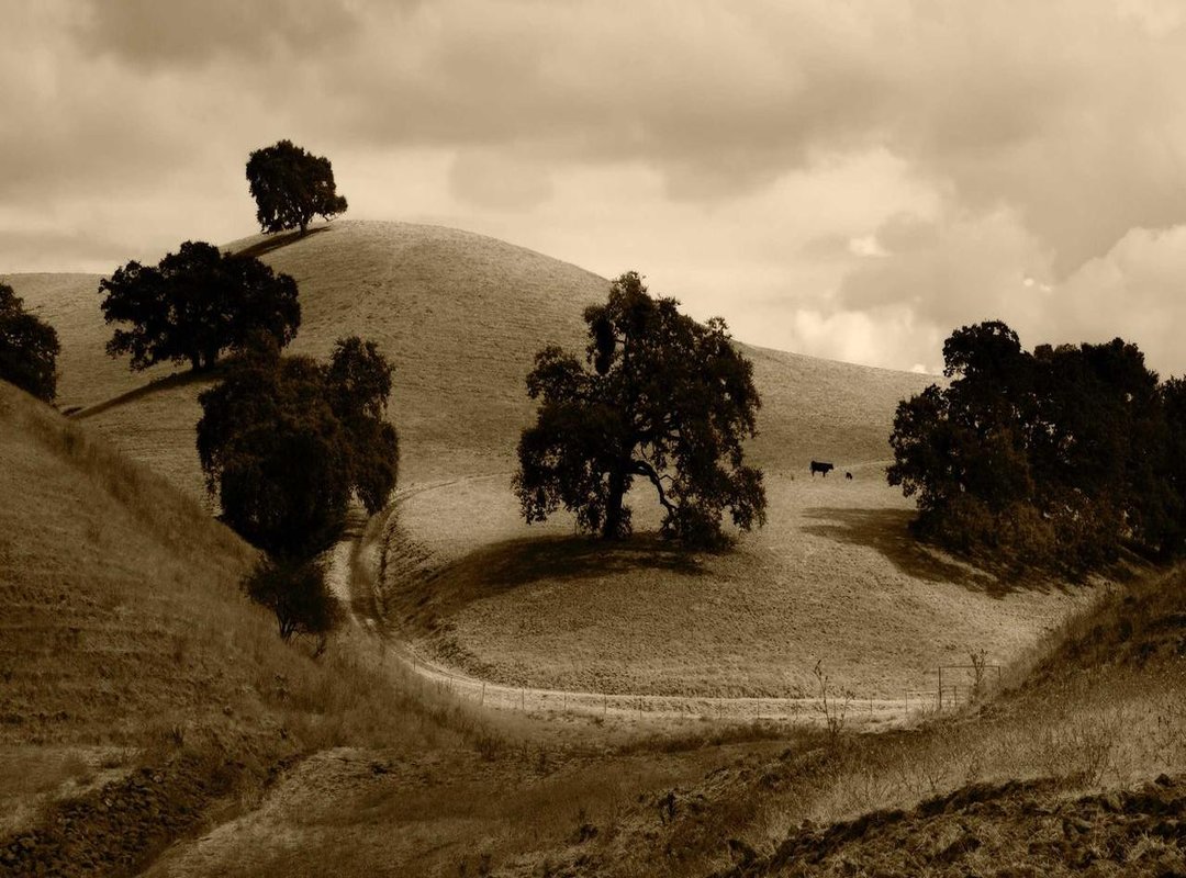 How to Engage Further: Your First Steps