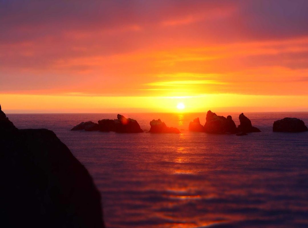 The Search Term Itself: A Clue to Online Behavior