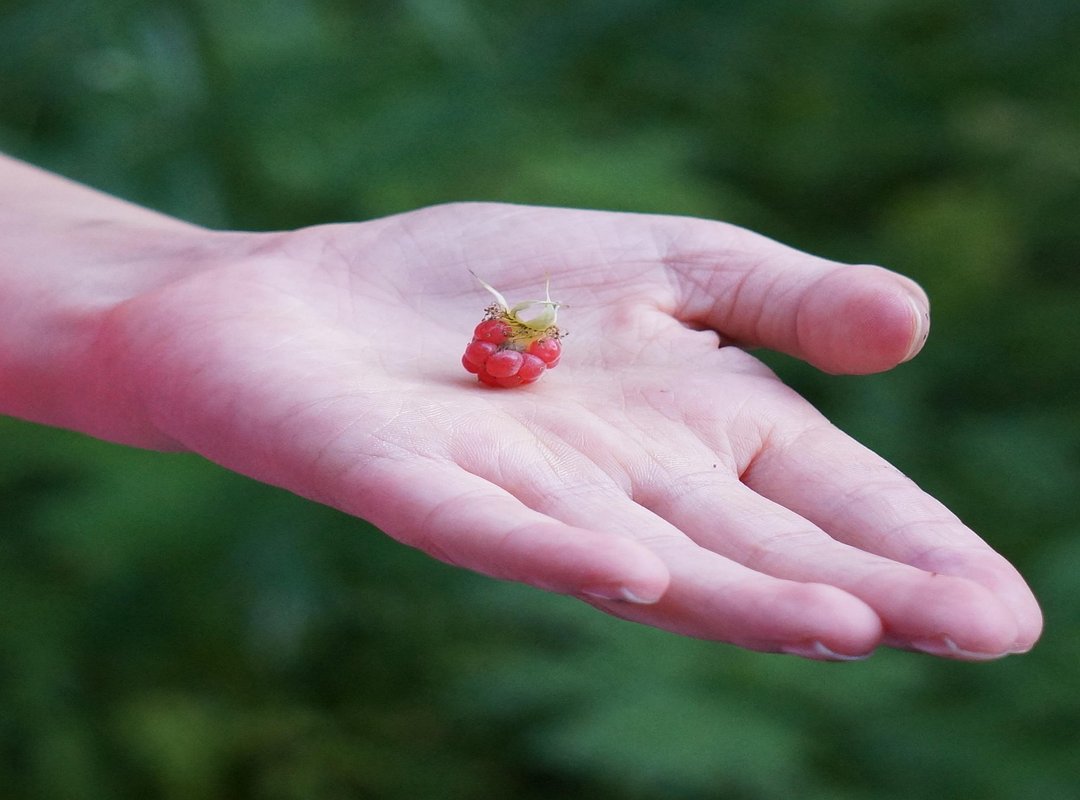 Giving Your Best When You're Spread Thin